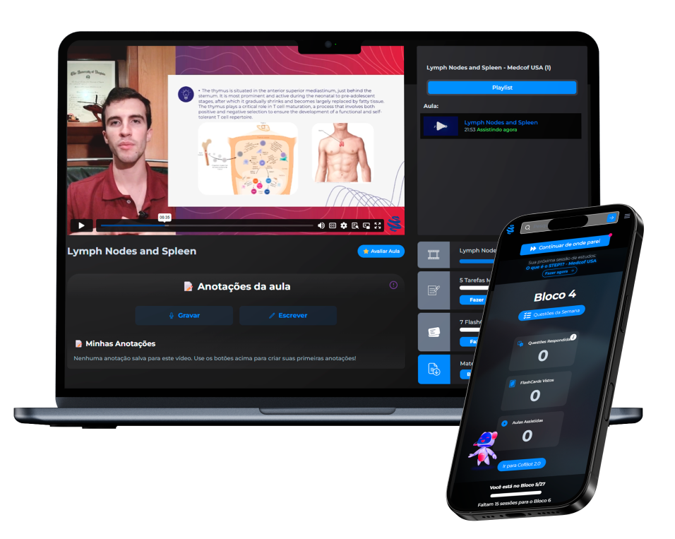 Vídeo-aulas em português