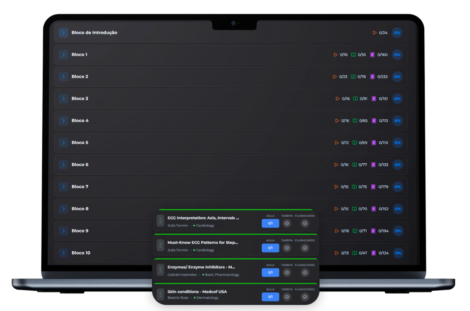 Cronograma de 9 meses